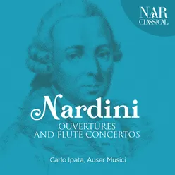 Concerto per flauto traverso in D Major: I. Allegro moderato