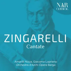 Niccolò Antonio Zingarelli - Cantate