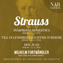 Sinfonia Domestica, Op.53, IRS 93: IV. Finale. Sehr Lebhaft
