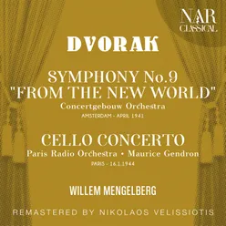 Symphony No.9 in E Minor, Op.95, IAD 117: IV. Allegro con fuoco