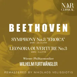 Symphony No.3, in E-Flat Major, Op.55, ILB 274: I. Allegro con brio