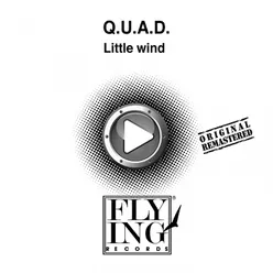 Little Wind (Radio Version)