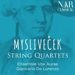 String Quartet No. 1 in C Major: II. Andante