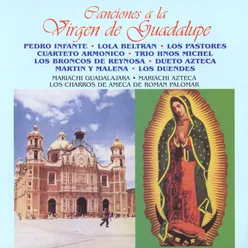 Mi Virgen Ranchera (inter. Martín y Malenna)