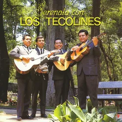 Serenata Tropical