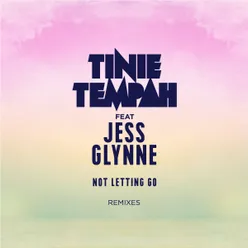 Not Letting Go (feat. Jess Glynne) [Troyboi Remix]