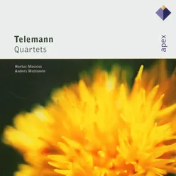 Telemann : Quartet in E minor : Allegro [Tafelmusik]