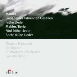 Mahler : Lieder eines fahrenden Gesellen : II "Ging heut' morgen über's Feld"