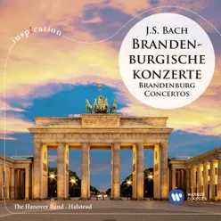 Brandenburg Concerto No. 1 in F Major, BWV 1046: IV. Menuetto. Trio I - Polacca - Trio II