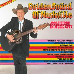 Golden Sound Of Nashville Vol. 2