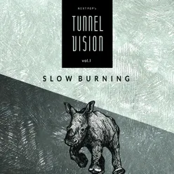 Nextpop's Tunnel Vision // Vol. 1: Slow Burning