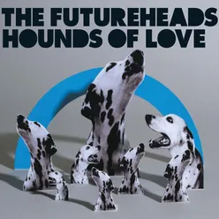 Hounds of Love Digital 4-tr