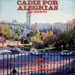 Cádiz por alegrías En directo