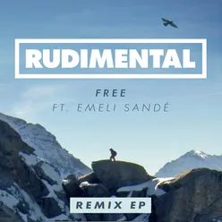 Free (feat. Emeli Sandé) Roy Davis Jr. Remix