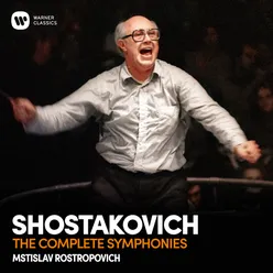 Symphony No. 9 in E-Flat Major, Op. 70: II. Moderato