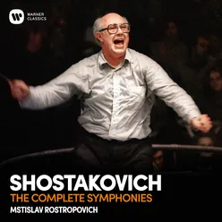 Symphony No. 14 in G Minor, Op. 135: XI. Conclusion