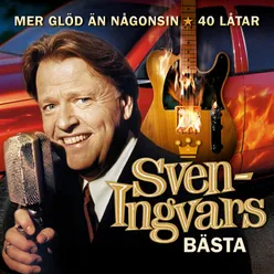 Någon att hålla i hand