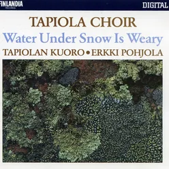 Trad Suomi [Finland] / Arr Hyökki : Minä olen Härmän Kankaanpäästä [Oh, I Hail from Kankaanpää in Härmä]