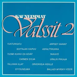 Balladi myrsky-yöstä