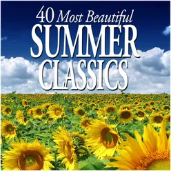 The Four Seasons, Violin Concerto in G Minor, Op. 8 No. 2, RV 315 "Summer": II. Adagio - Presto