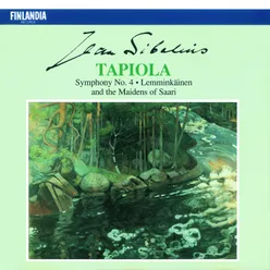 Sibelius : Symphony No.4 in A minor Op.63 : III Il tempo largo