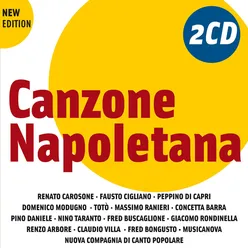 I Grandi Successi: Canzone Napoletana [New Edition]