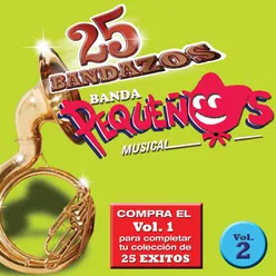 25 Bandazos de Pequeños Musical (Vol. 2) USA