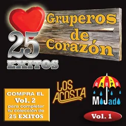 25 Exitos Vol. 1 USA