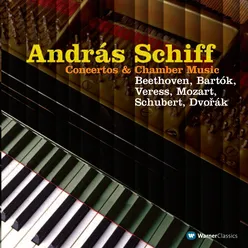 Piano Trio No. 1 in B-Flat Major, Op. 99, D. 898: III. Scherzo. Allegro - Trio