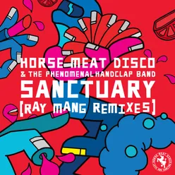 Sanctuary (Extended 12" Mix)