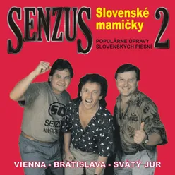 Slovenské mamičky