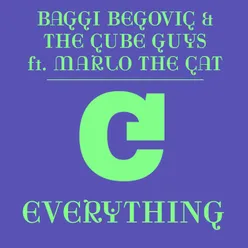 Everything (feat. Marlo the Cat) The Cube Guys Mix