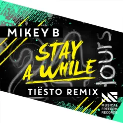 Stay A While Tiësto Remix