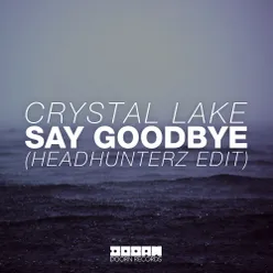 Say Goodbye Headhunterz Radio Edit