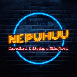 Ne puhuu (feat. Bile.Fioni)