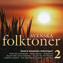 I folkviseton