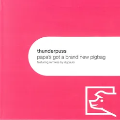 Papa's Got a Brand New Pigbag Thunderpuss Mixshow Edit