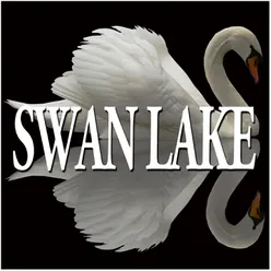 Tchaikovsky : Swan Lake & The Sleeping Beauty [Excerpts]