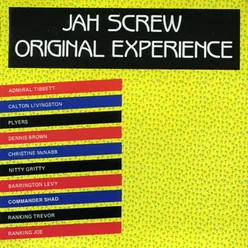 Jah Screw In Dub