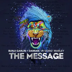 The Message (feat. Damian "Jr. Gong" Marley)