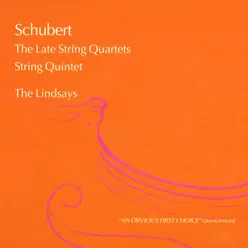 String Quartet No. 13 in A Minor, D. 804: II. Andante