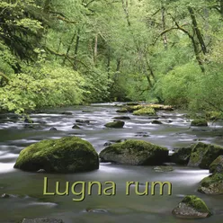 Lugna Rum