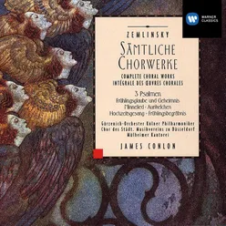 Frühlingsbegräbnis · Kantate für Sopran, Bariton, gem. Chor und Orchester nach Worten von Paul Heyse (Live): Schöner Jüngling (Sopran-Solo, Chor)