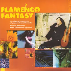 Flamenco Bolero