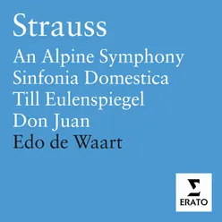 Symphonia Domestica Op. 53: III. Mässig langsam (Wiegenlied)