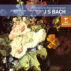 Bach, J.S.: Violin Sonata No. 5 in F Minor, BWV 1018: IV. Vivace