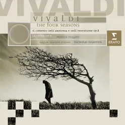 Violin Concerto in D Minor, Op. 8 No. 7, RV 242 "Per Pisendel": II. Largo