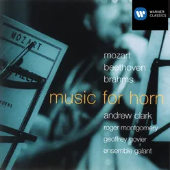 Brahms: Horn Trio in E-Flat Major, Op. 40: III. Adagio mesto