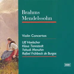 Violin Concerto in D Major, Op. 77: II. Adagio