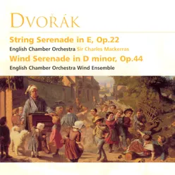 Serenade for Strings in E Major, Op. 22, B. 52: I. Moderato